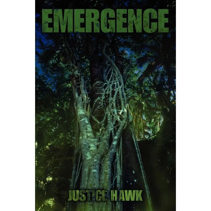 Emergence