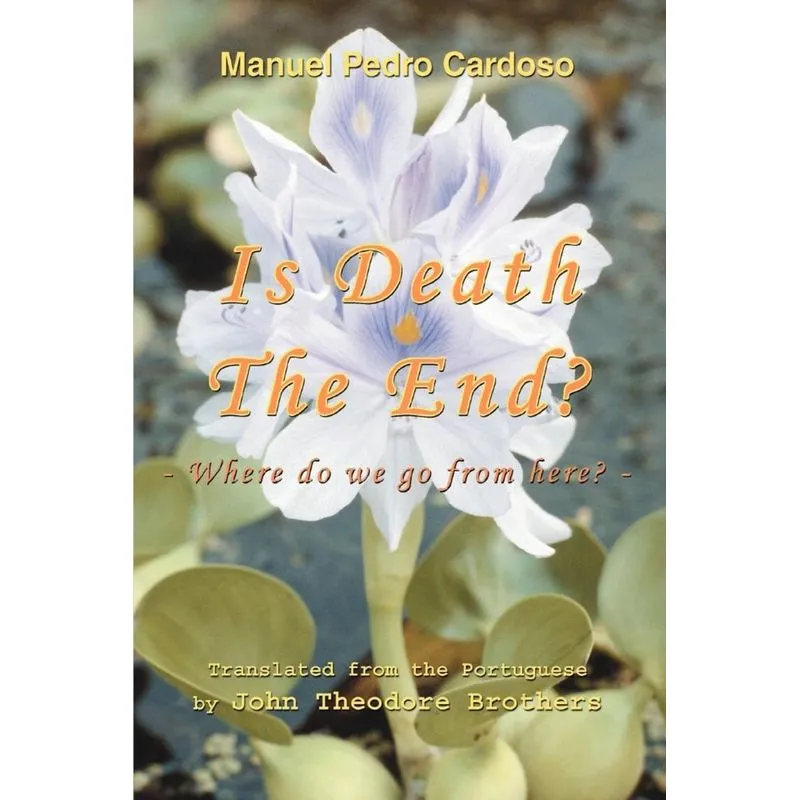 Is Death The End?
