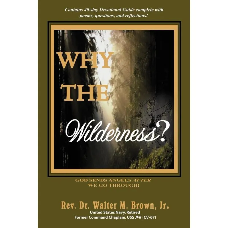 Why the Wilderness?