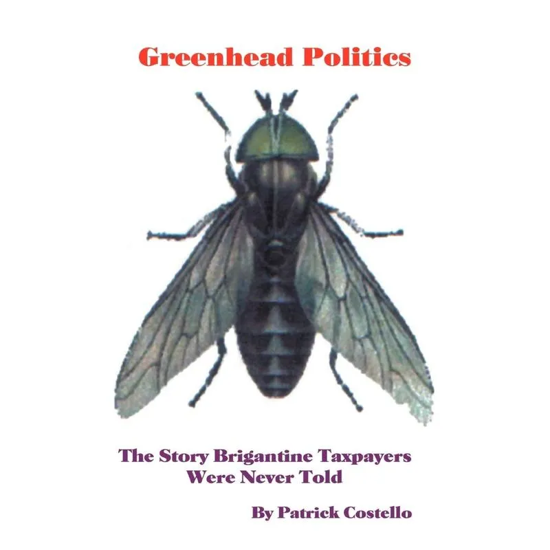 Greenhead Politics