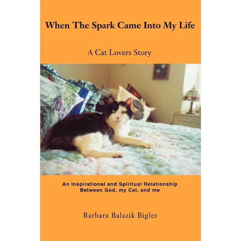 When The Spark Came Into My Life