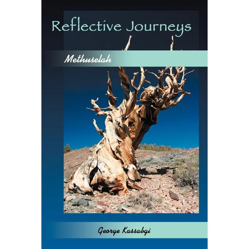 Reflective Journeys...