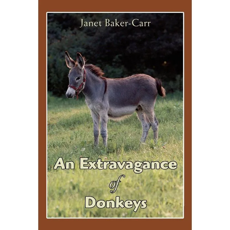 An Extravagance of Donkeys