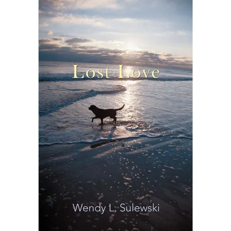 Lost Love