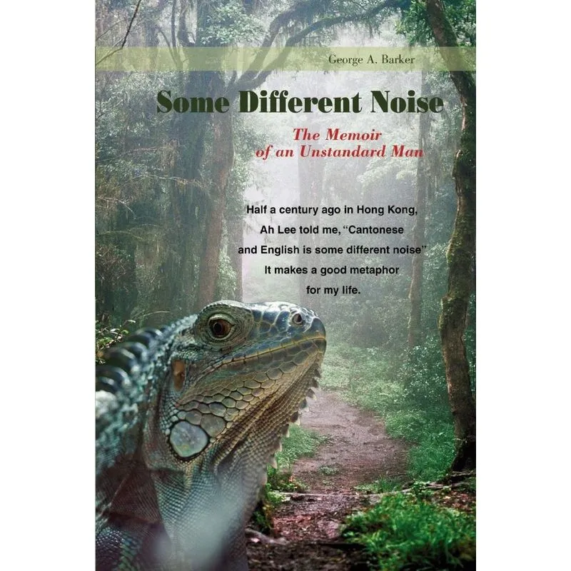 Some Different Noise