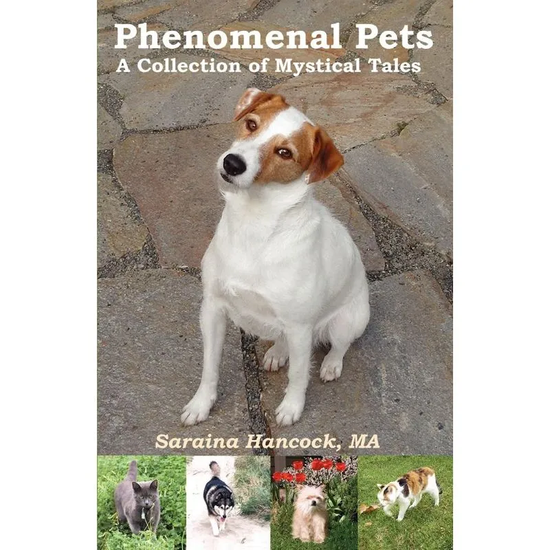 Phenomenal Pets