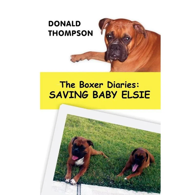 The Boxer Diaries
