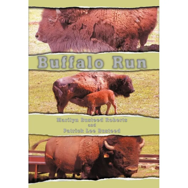Buffalo Run