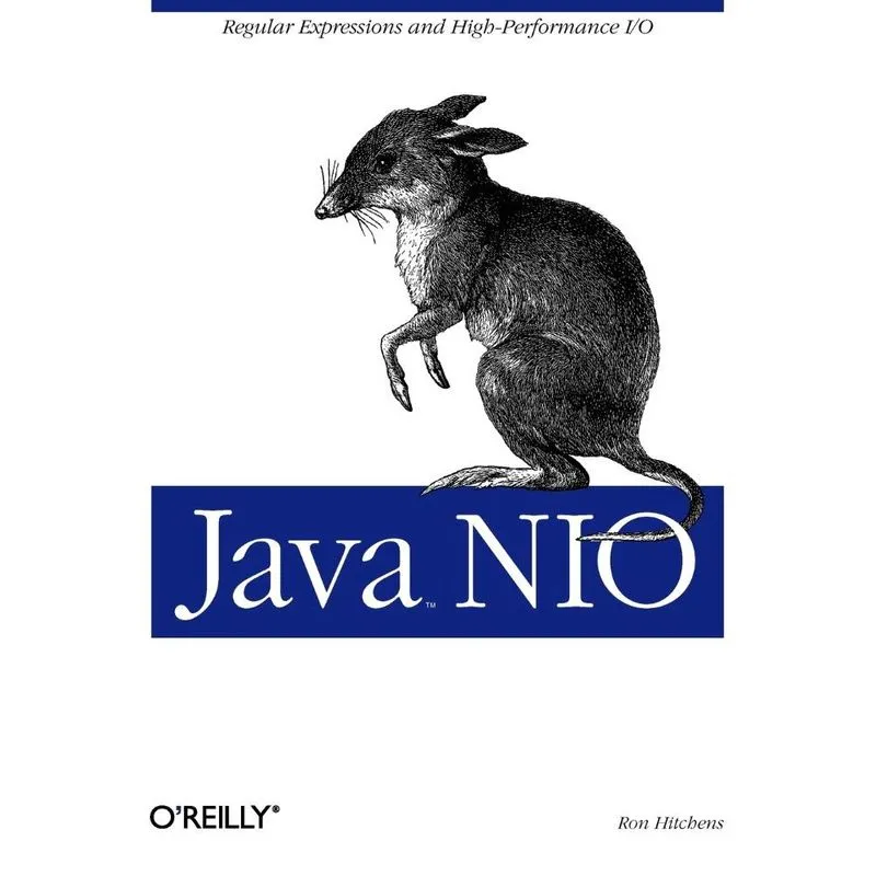Java nio