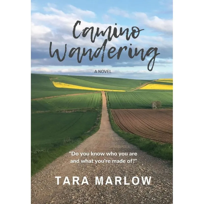 Camino Wandering - Hardback