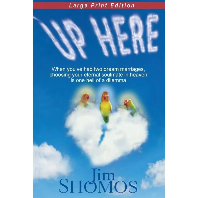 Up Here - Large Print
