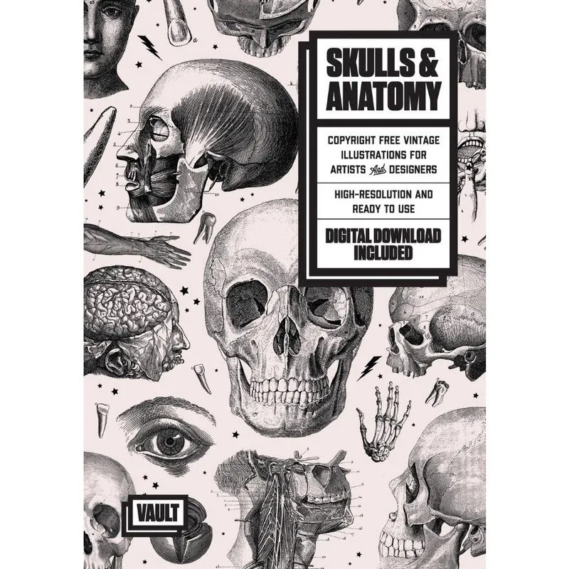 Skulls & Anatomy