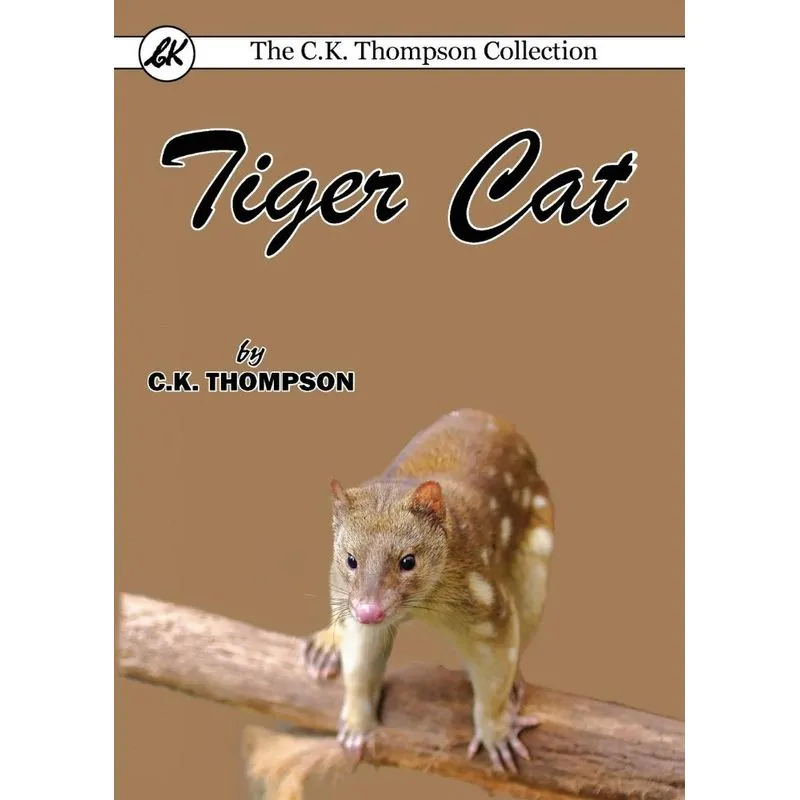 Tiger Cat