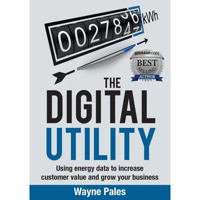 THE DIGITAL UTILITY