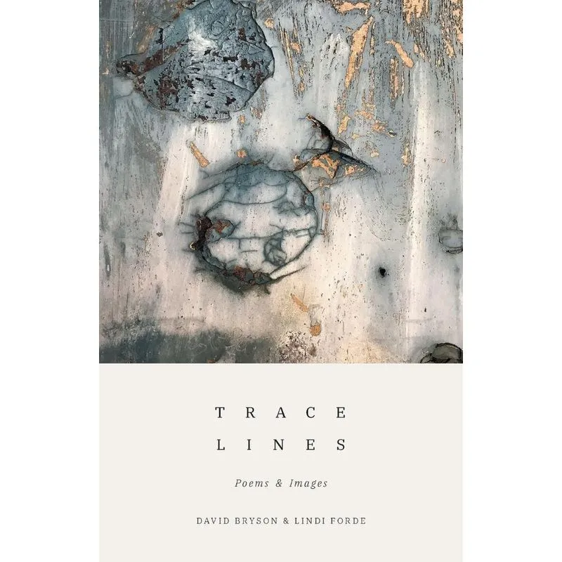 Trace Lines