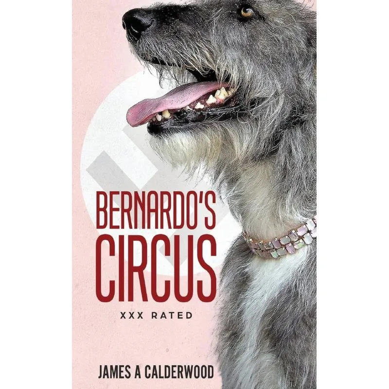 Bernados Circus