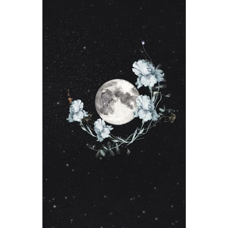 Goddess Daily Planner with Weekly Creativity Exercises (Und