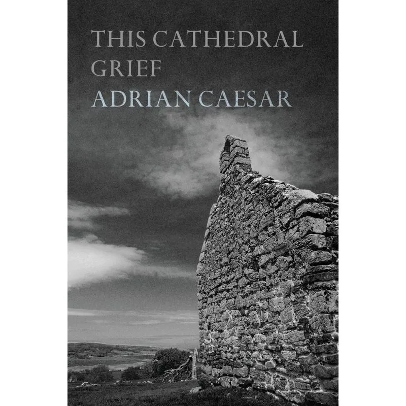 This Cathedral Grief
