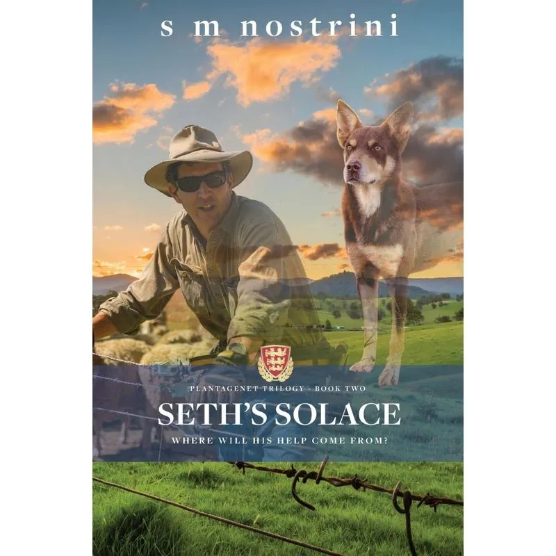 Seths Solace