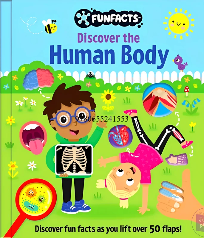 Little Olive: Funfacts - Lift The Flap Board Book - Discover The Human Body
