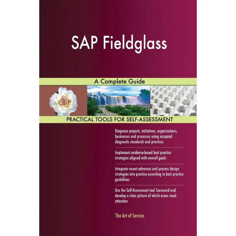 SAP Fieldglass A Complete Guide