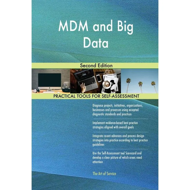 MDM and Big Data Second Edition