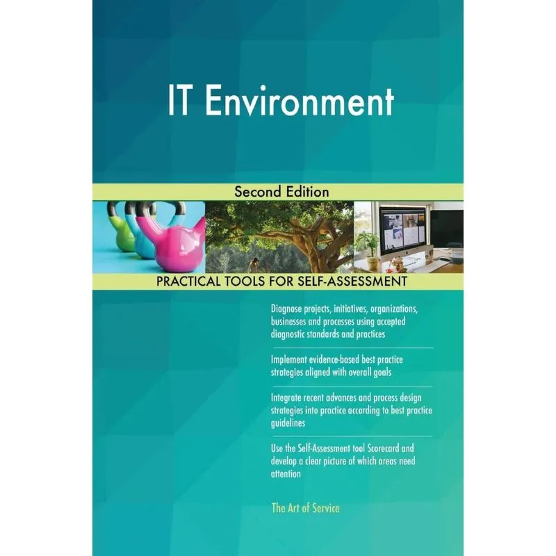 IT Environment Second Edition