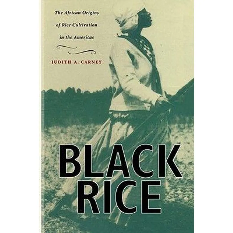 Black Rice