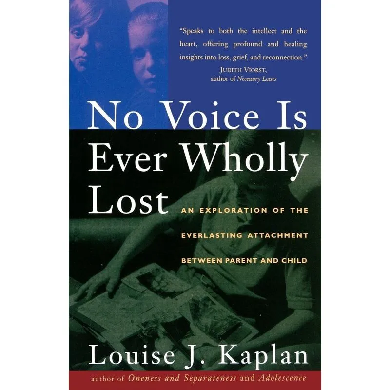 No Voice Is Ever Wholly Lost