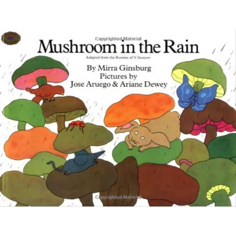 MUSHROOM IN THE RAIN