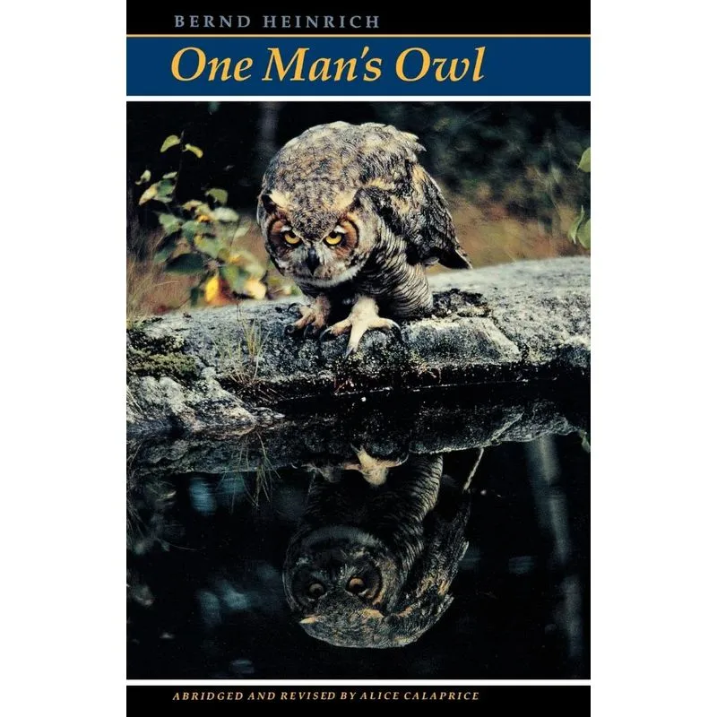One Mans Owl