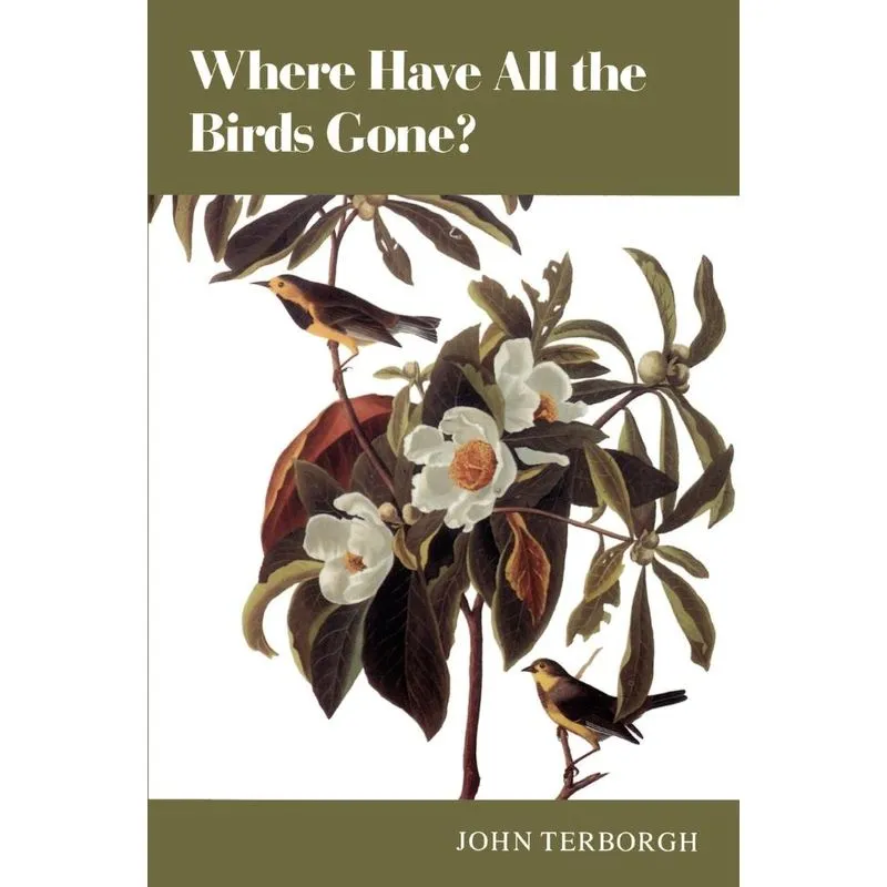 Where Have All the Birds Gone?