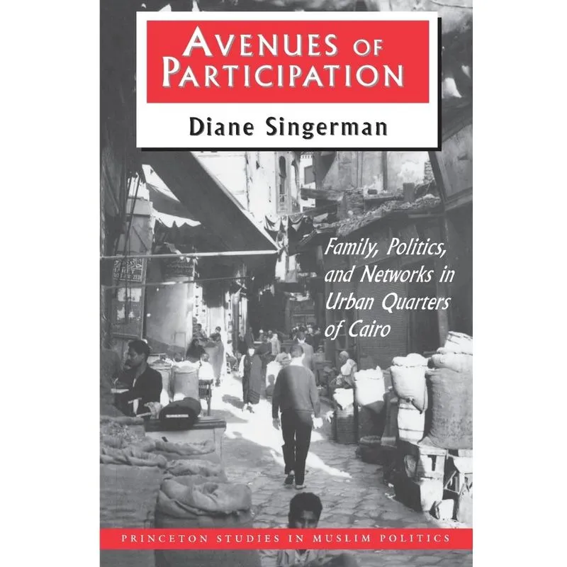 Avenues of Participation