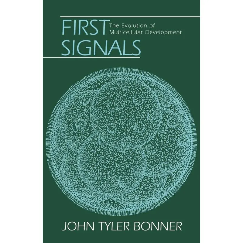 First Signals