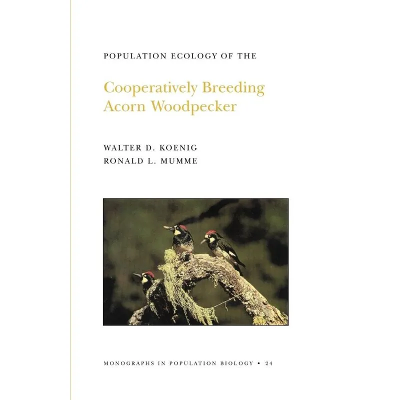 Livro Population Ecology of the Cooperatively Breeding Acorn Woodpecker. (MPB-24), Volume 24