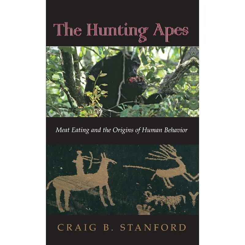 The Hunting Apes