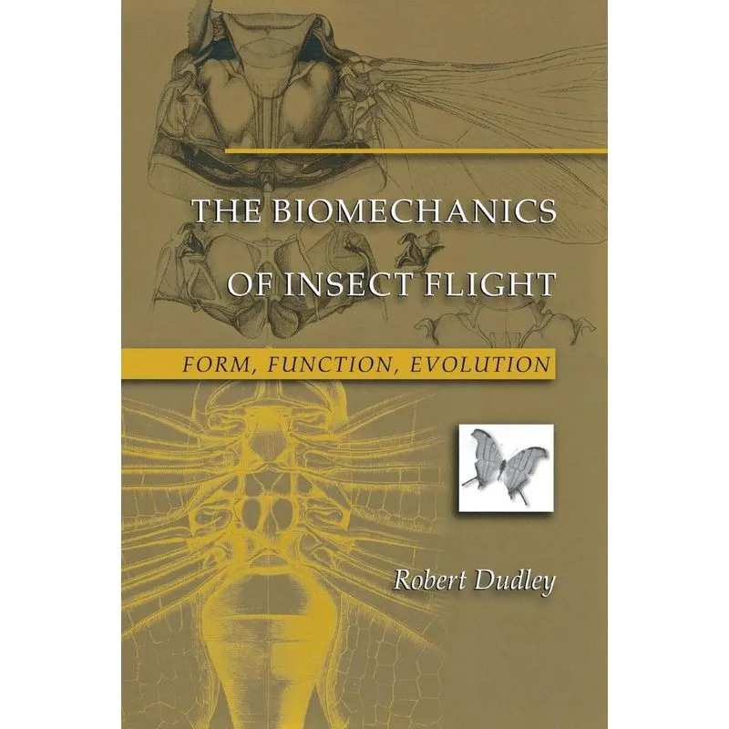 The Biomechanics of Insect Flight