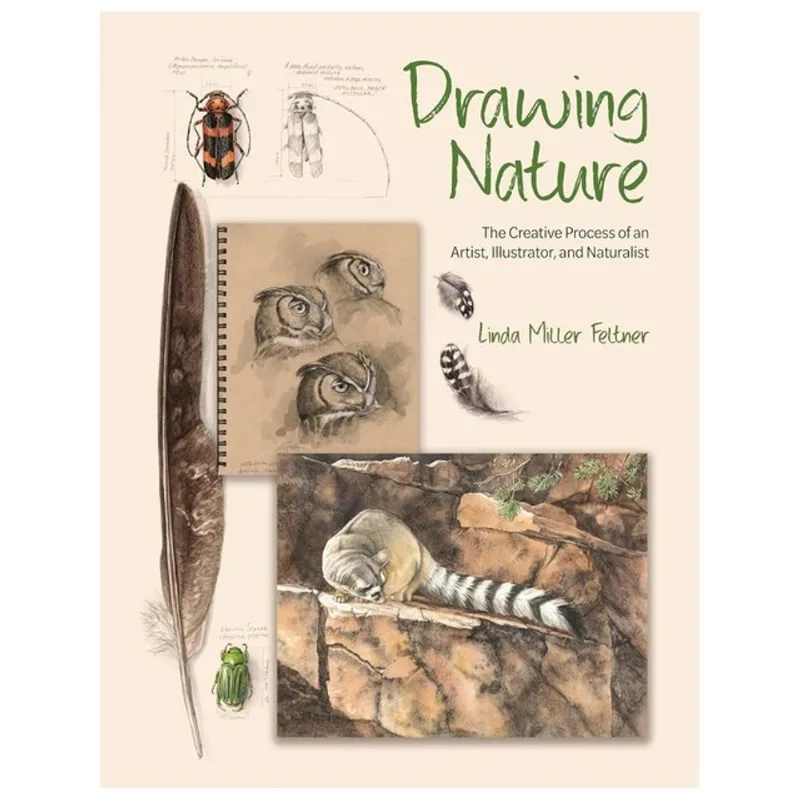 DRAWING NATURE