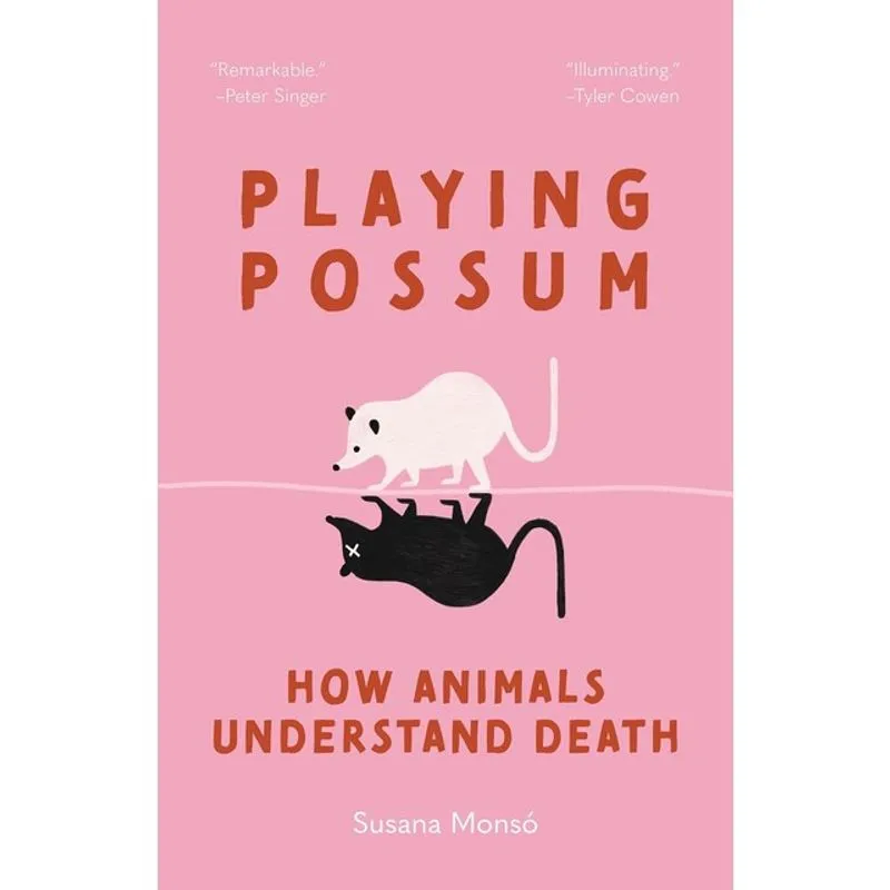 PLAYING POSSUM