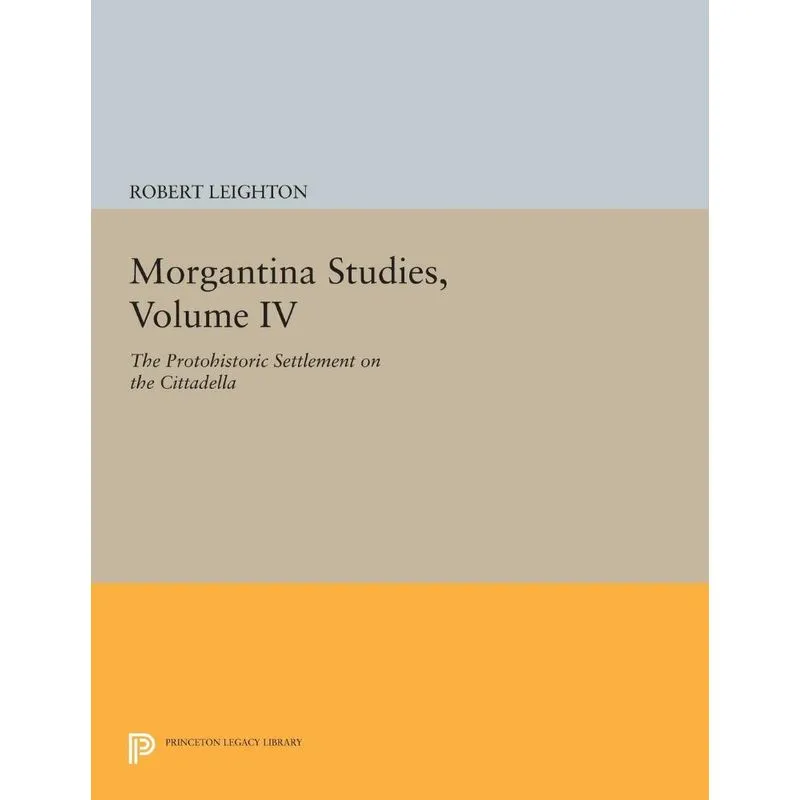 Morgantina Studies, Volume IV