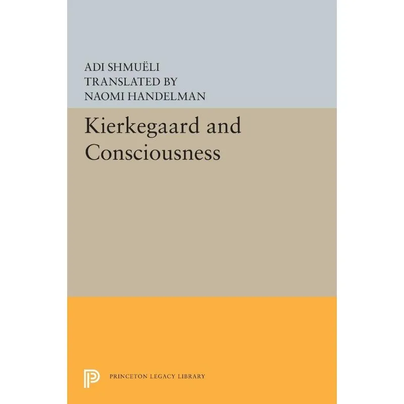 Kierkegaard and Consciousness