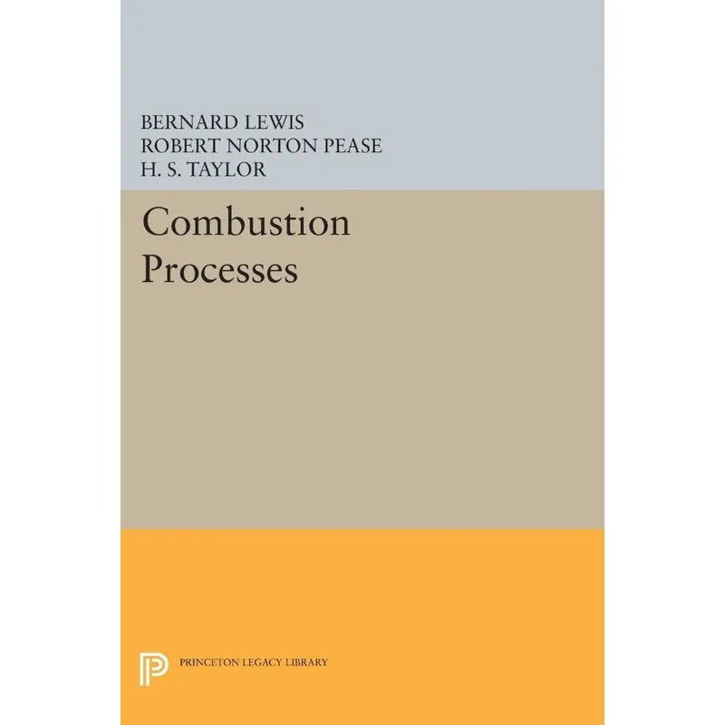 Combustion Processes