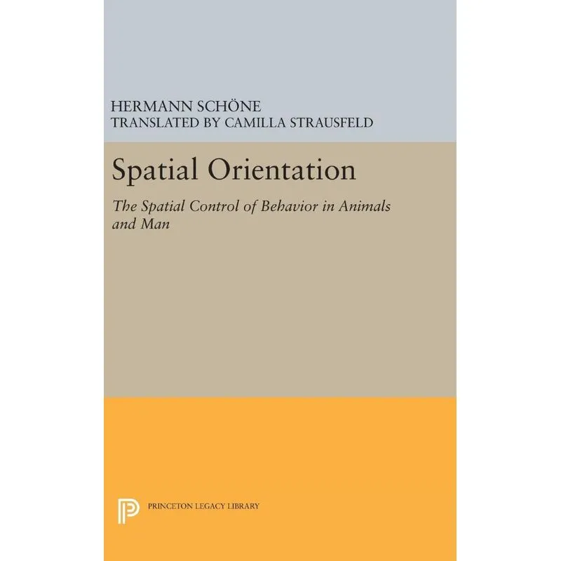 Spatial Orientation