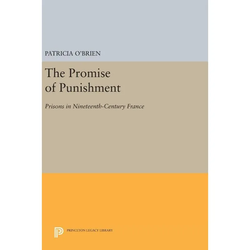 Livro The Promise of Punishment