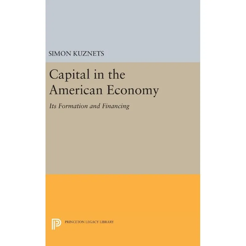 Capital in the American Economy