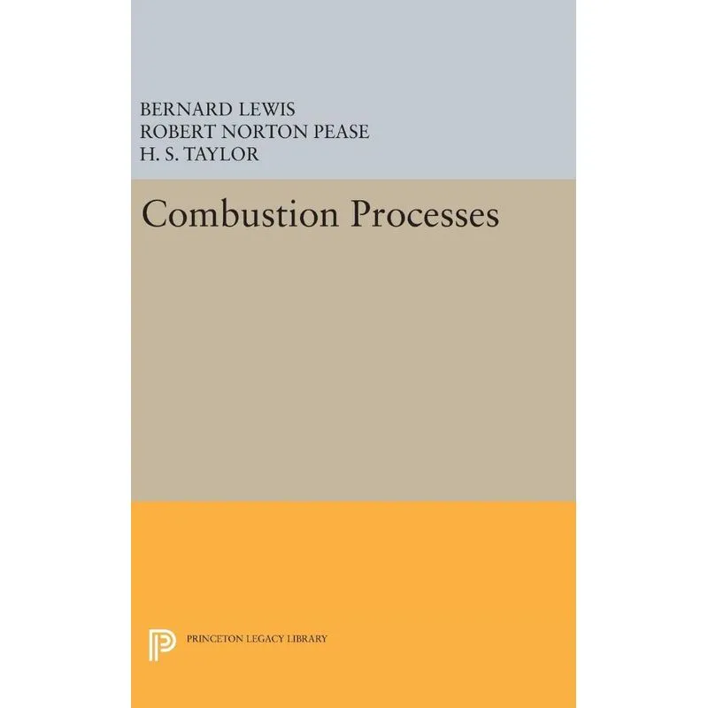 Combustion Processes