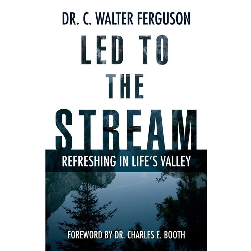 Led To The Stream