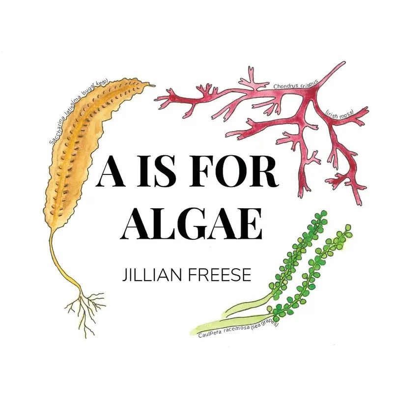 A is for Algae