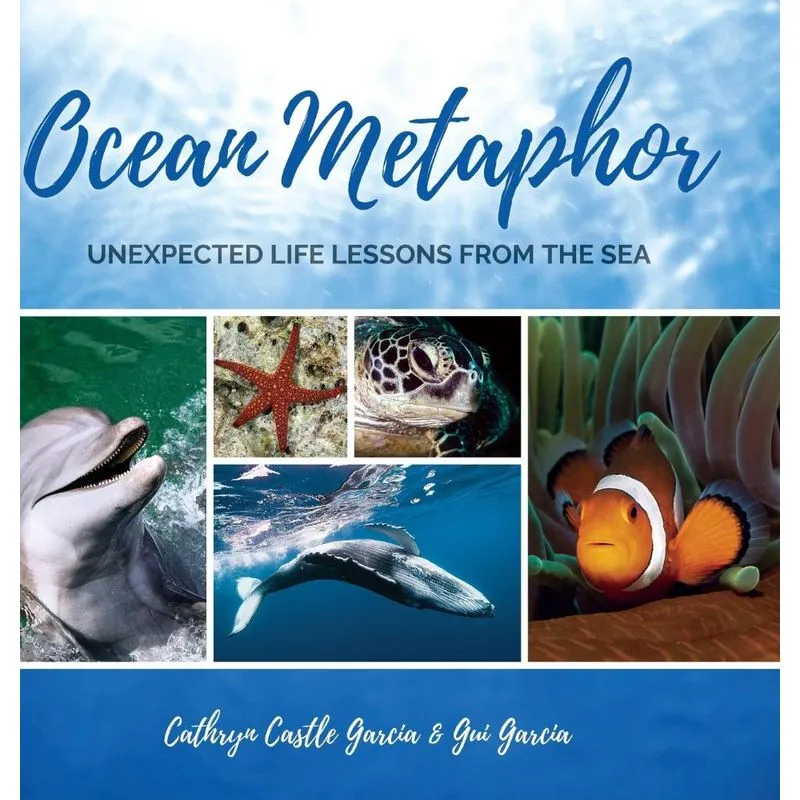 Ocean Metaphor