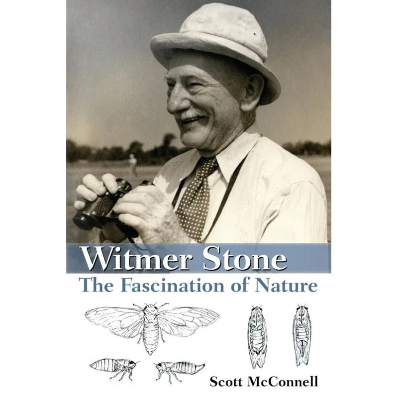 Witmer Stone